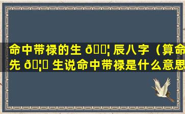 命中带禄的生 🐦 辰八字（算命先 🦍 生说命中带禄是什么意思）